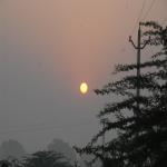 Vraj-Yatra-2014- (88)